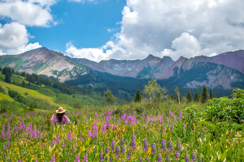 CrestedButte_Wildflowers1