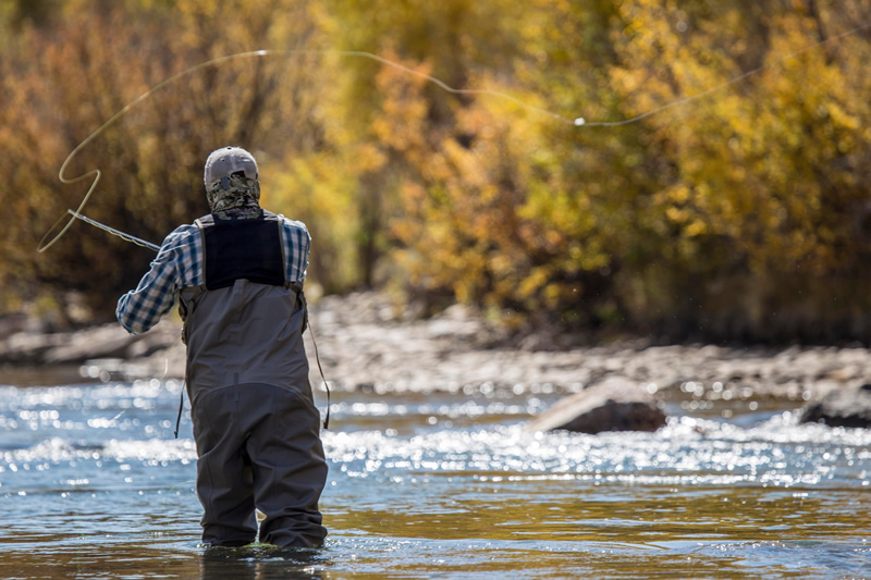FlyFishing